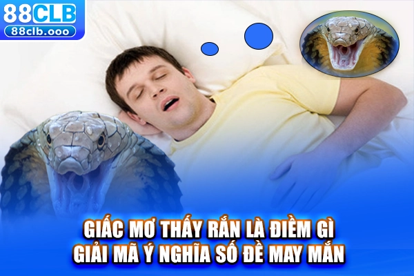 Nằm mơ thấy rắn đánh con gì? Giải mã những con số may mắn